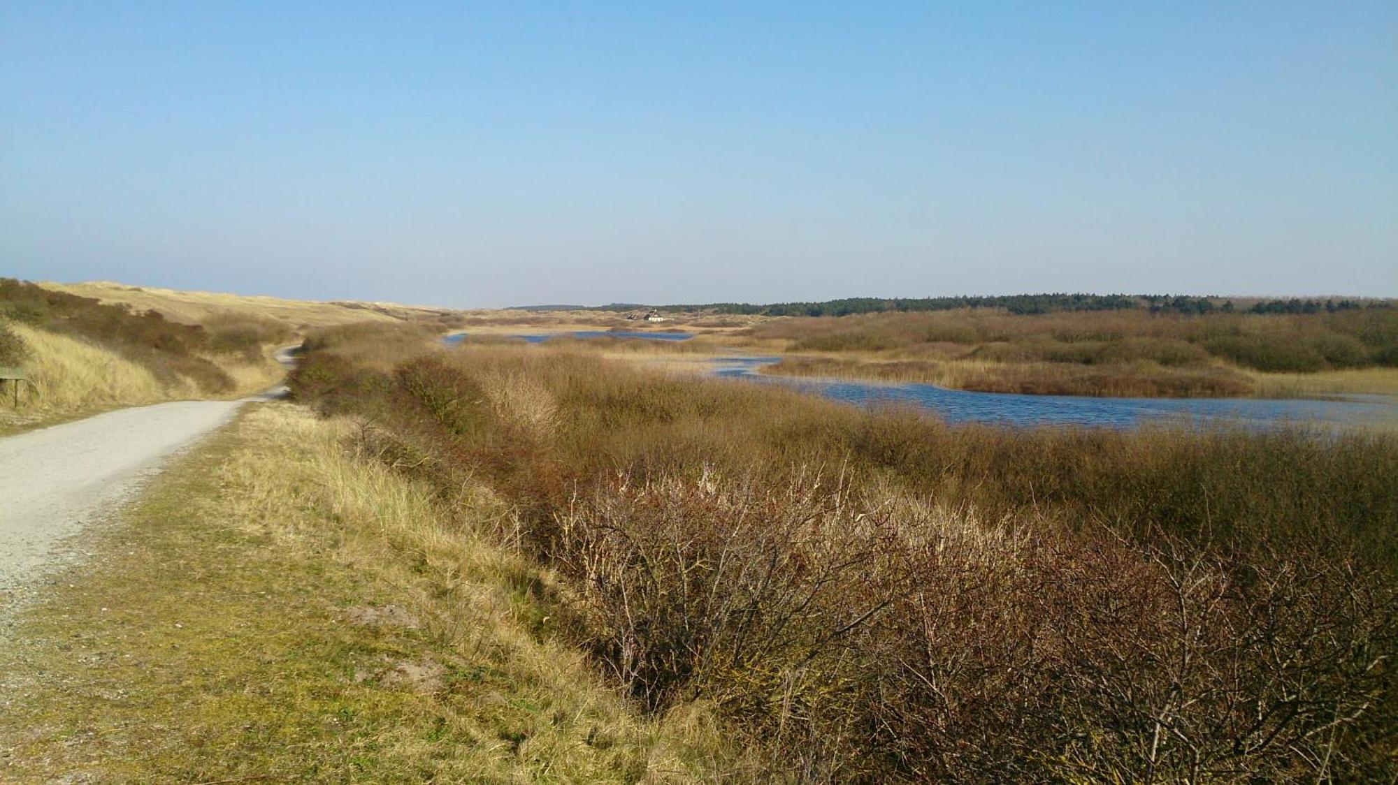 Ballumerhoeve T Pandje Exterior photo